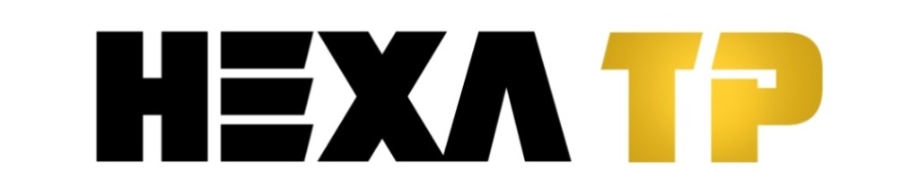 HexaTP - Transfer Pricing Simplified